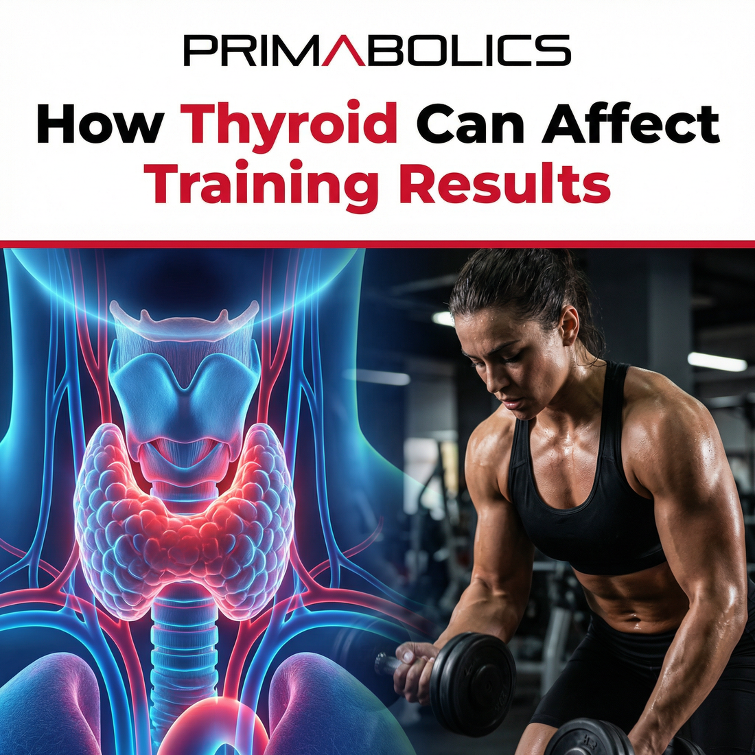 How Thyroid Can Affect Training Results