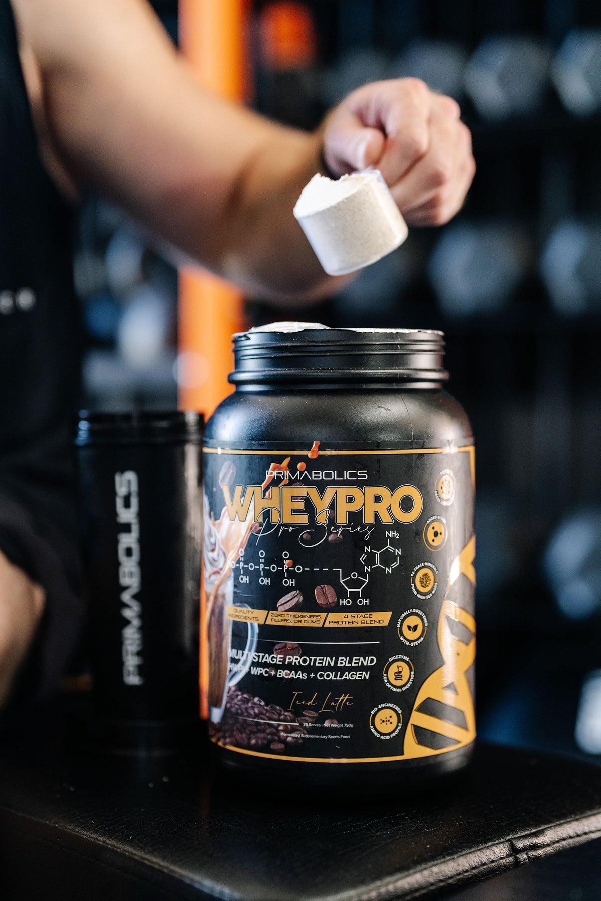 Whey Blend Protein